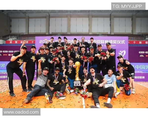 北京排球队在洲际杯中的精彩表现与状态分析