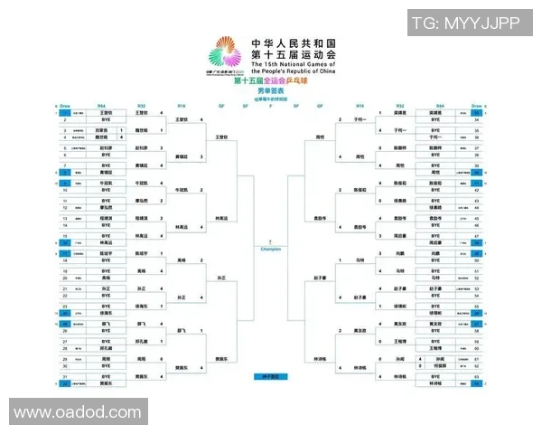 南京乒乓球队引领最新乒乓球节奏TOP10榜单全景解析