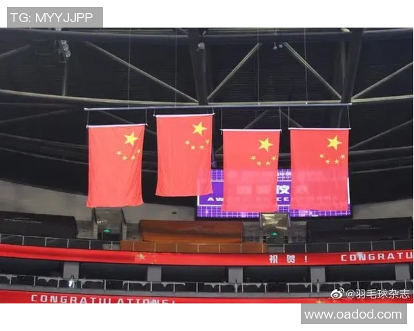 深圳羽毛球队逆袭全国锦标赛的辉煌历程与背后故事揭秘 深圳羽毛球队逆袭全国锦标赛的辉煌历程与背后故事揭秘