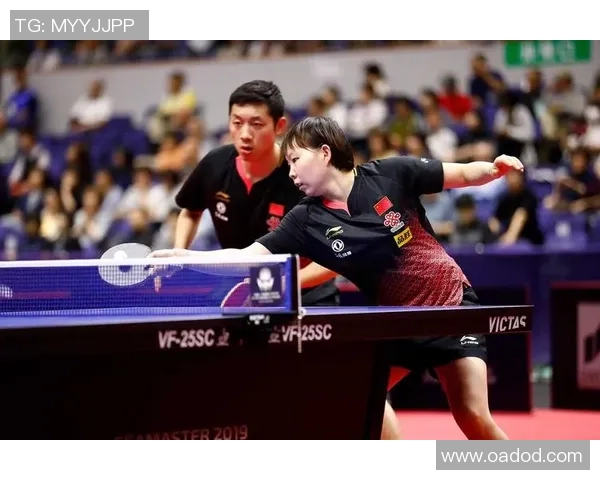 杭州排球队与深圳排球队速度对决赛后分析与复盘