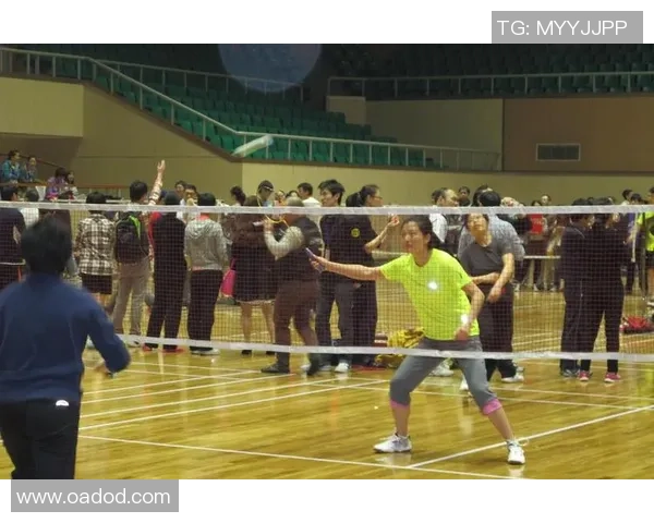 成都羽毛球队节奏表现数据分析揭示训练与比赛的关键影响因素