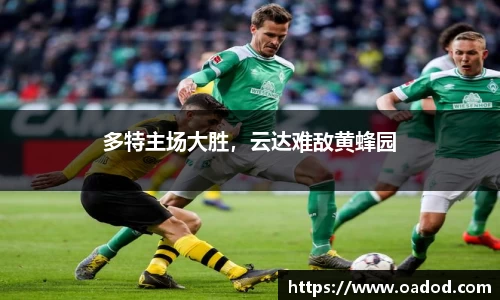 j9.com官方网站