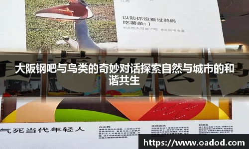 j9.com官方网站